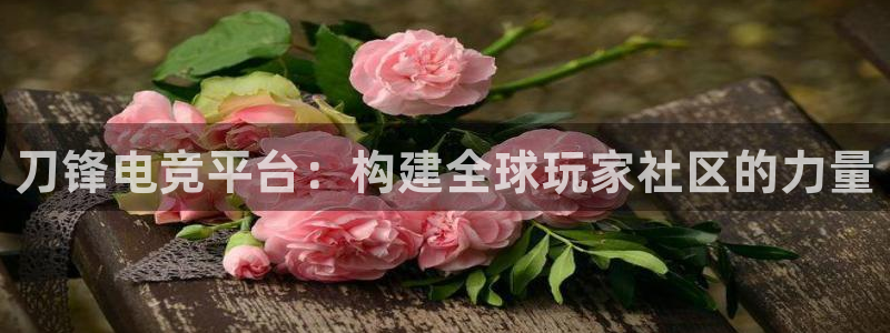 雷火电竞平台：刀锋电竞平台：构建全球玩家社区的力量