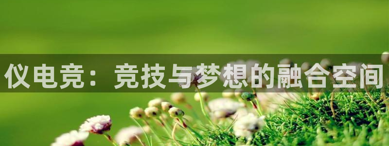 雷火电竞链接：仪电竞：竞技与梦想的融合空间