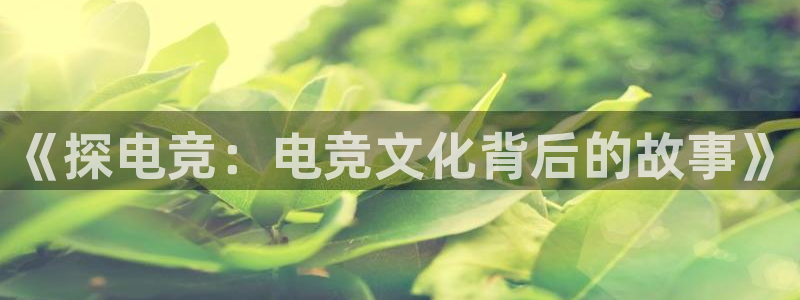 雷火电竞体育官网：《探电竞：电竞文化背后的故事》