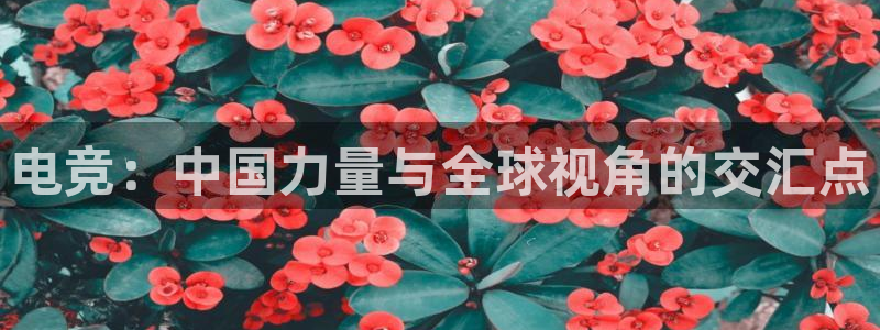 雷火电竞官网首页：电竞：中国力量与全球视角的交汇点