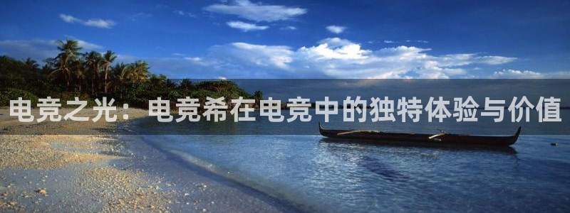 e8125雷火电竞：电竞之光：电竞希在电竞中的独特体验与价值