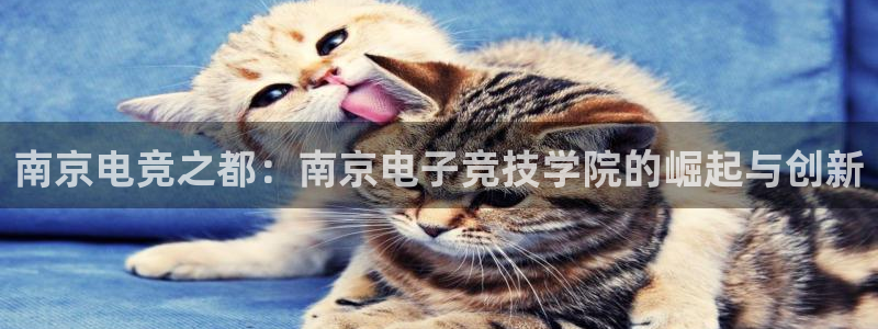 雷火电竞竞猜app：南京电竞之都：南京电子竞技学院的崛起与创新