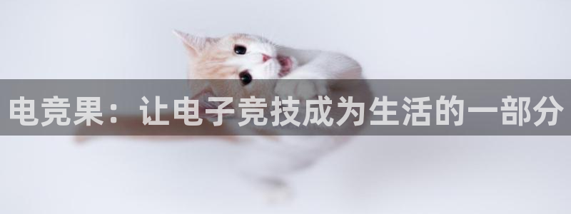 雷火电竞体育：电竞果：让电子竞技成为生活的一部分