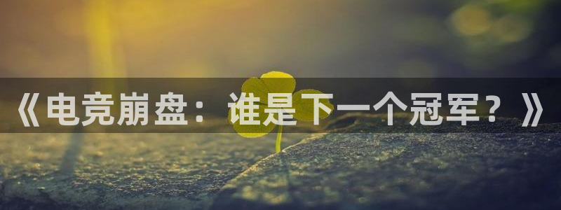 雷火电竞体育官网：《电竞崩盘：谁是下一个冠军？》