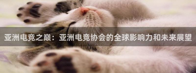 海南雷火电竞：亚洲电竞之巅：亚洲电竞协会的全球影响力和未来展望